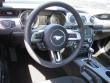 New 2019 Ford Mustang Coupe near Belmont