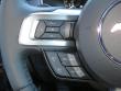 New 2019 Ford Mustang Coupe near Belmont