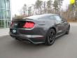 New 2019 Ford Mustang Coupe near Belmont