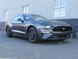 New 2019 Ford Mustang Coupe near Belmont