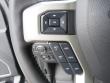 New 2019 Ford F-150 Truck SuperCrew Cab near Belmont