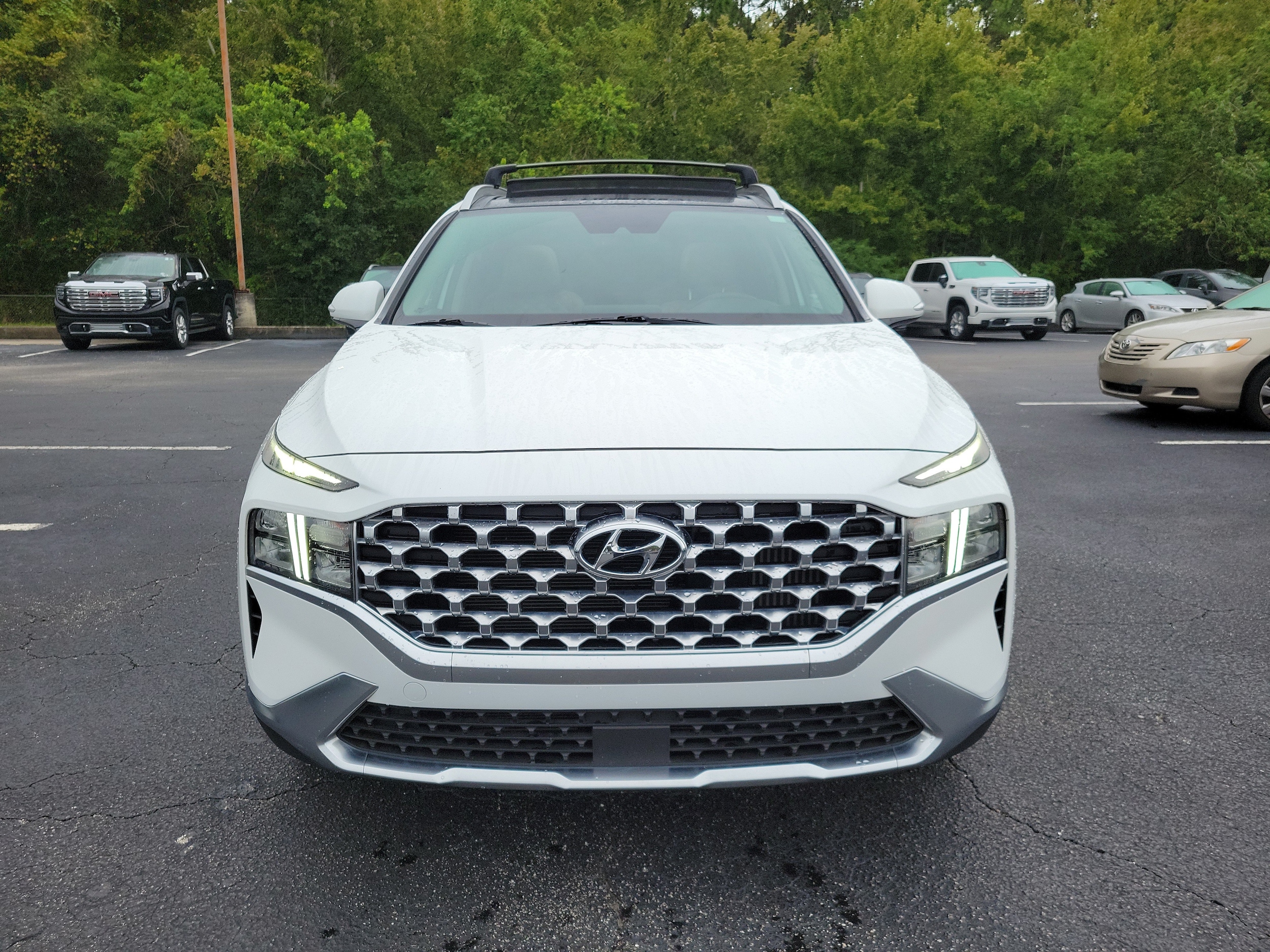 2021 Hyundai Santa Fe SEL Premium HEV - Photo 7