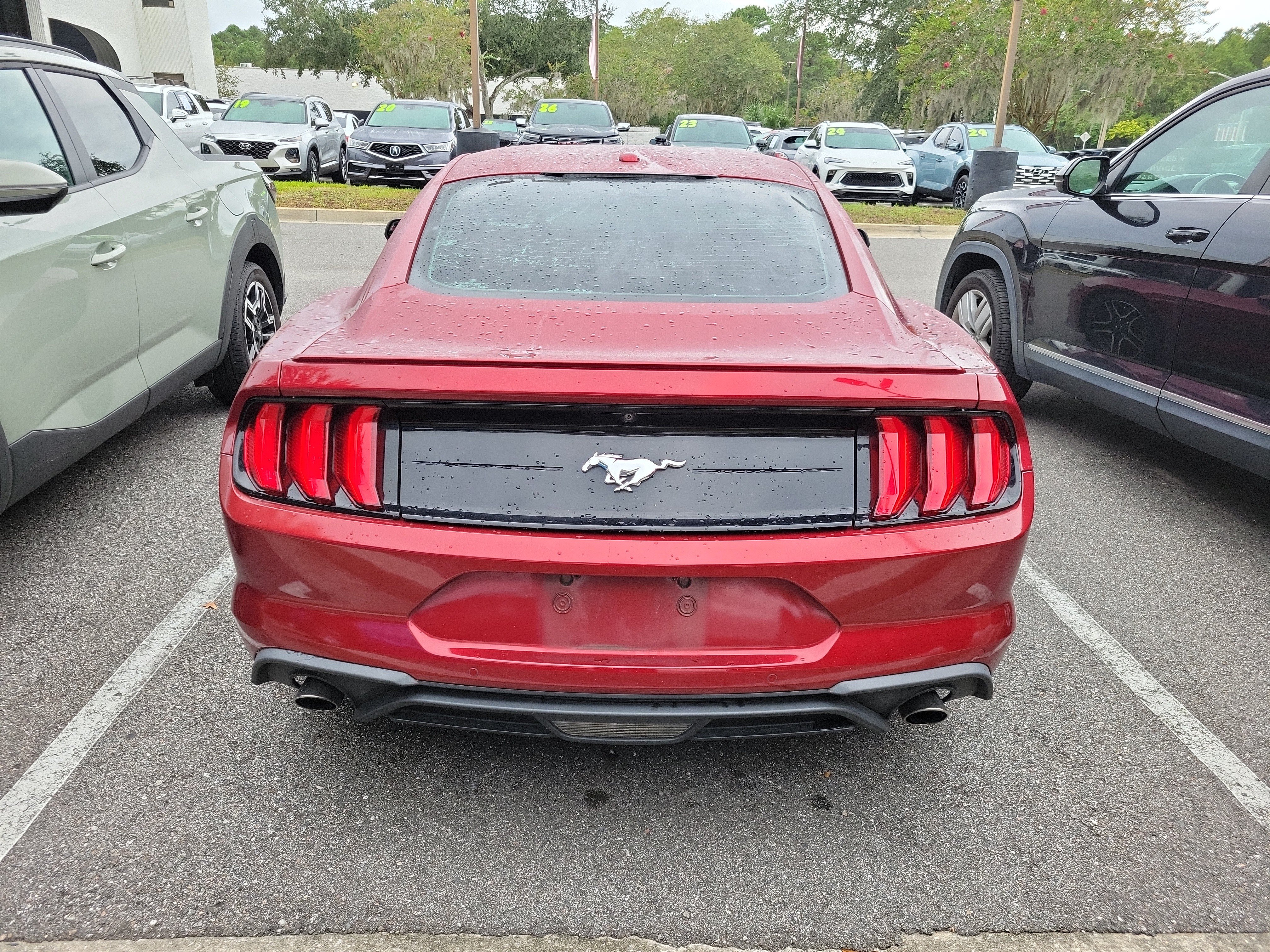 Used 2019 Ford Mustang Coupe