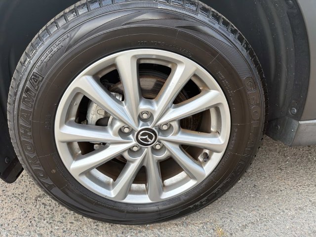 Photo 23