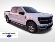 Used 2025 Ford F-150 XLT Truck