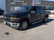 Used 2025 Ford F-150 XLT Truck