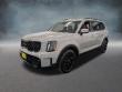 Used 2025 Kia Telluride EX X-Pro SUV