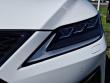 2021 LEXUS RX 350 F SPORT Handling SUV