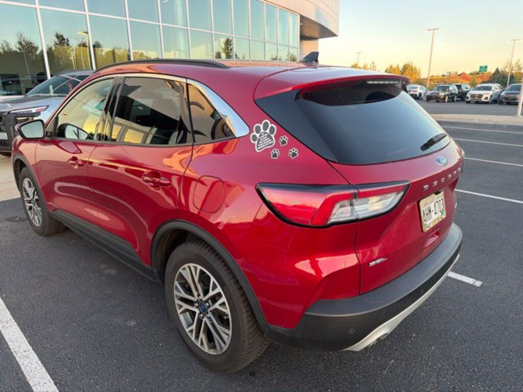 Used 2020 Ford Escape SEL SUV