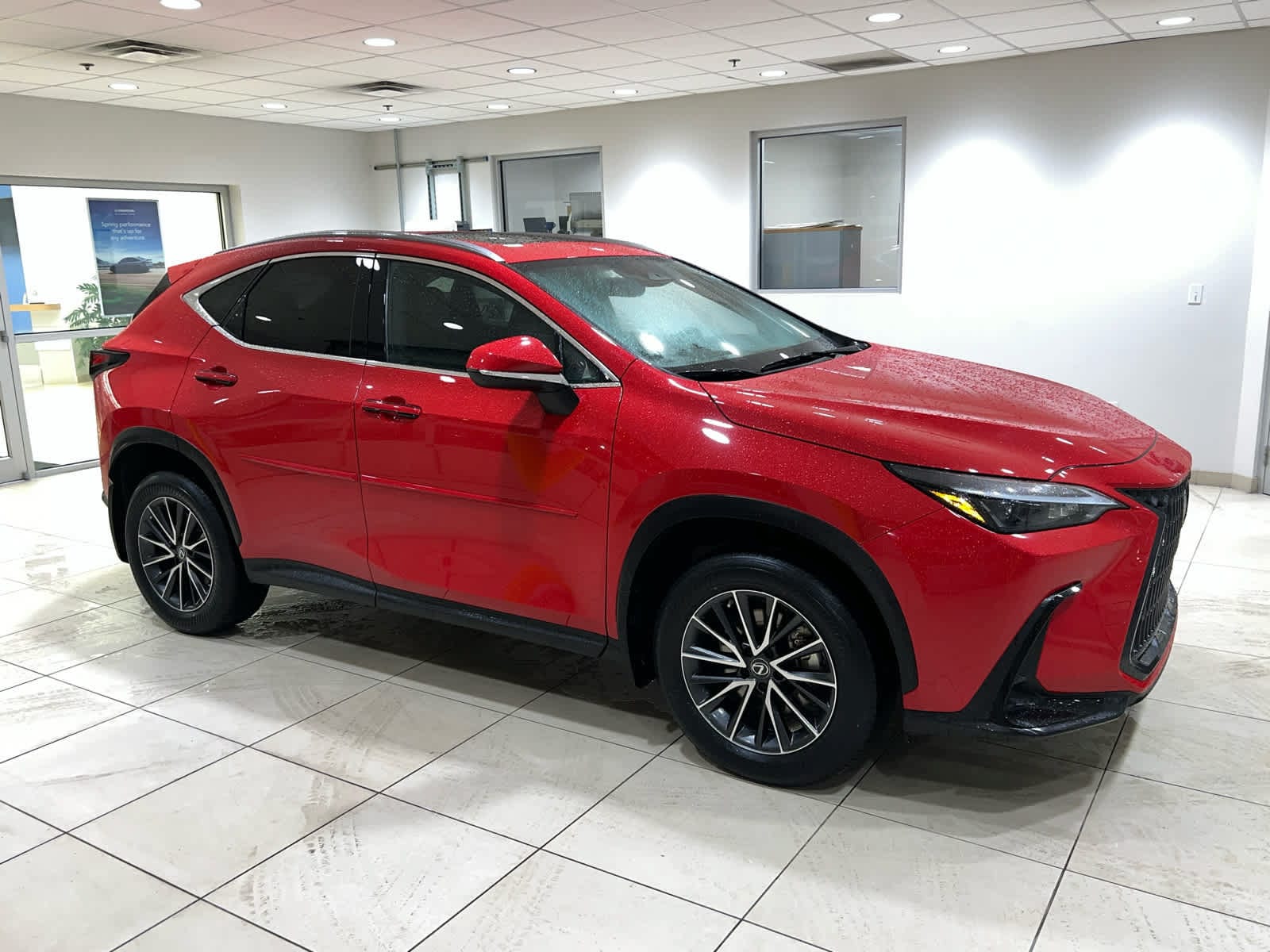 2023 Lexus NX Hybrid