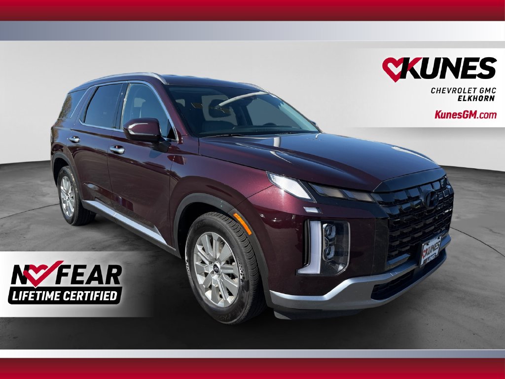  Hyundai Palisade