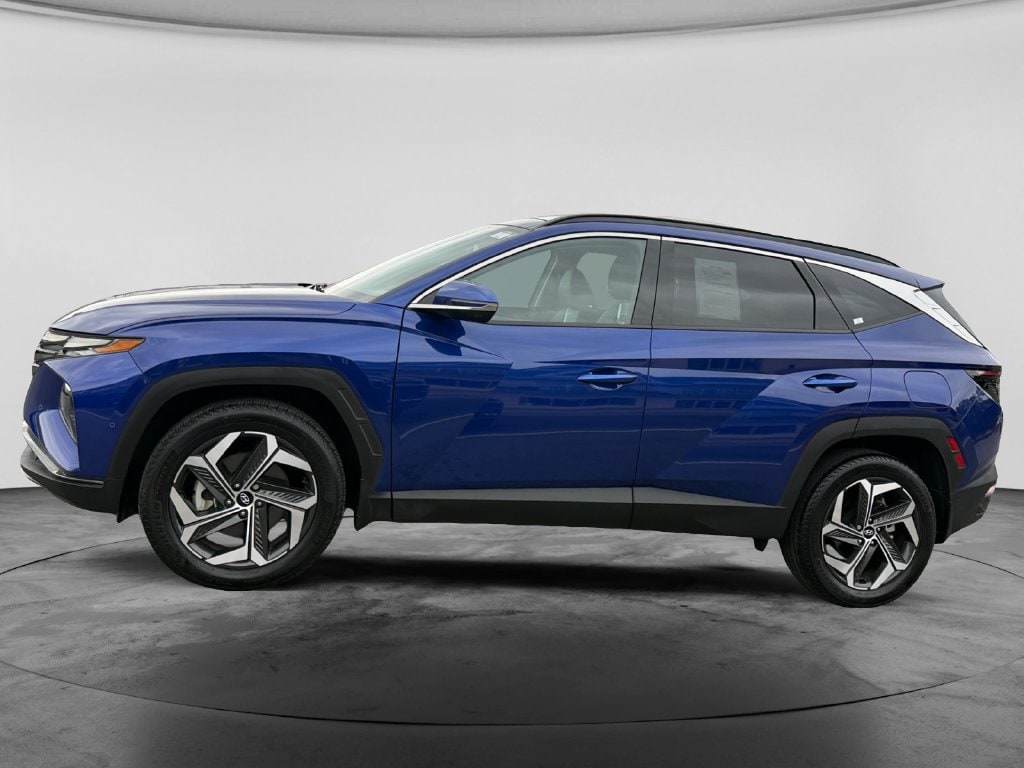 2024 Hyundai Tucson Limited - Photo 6