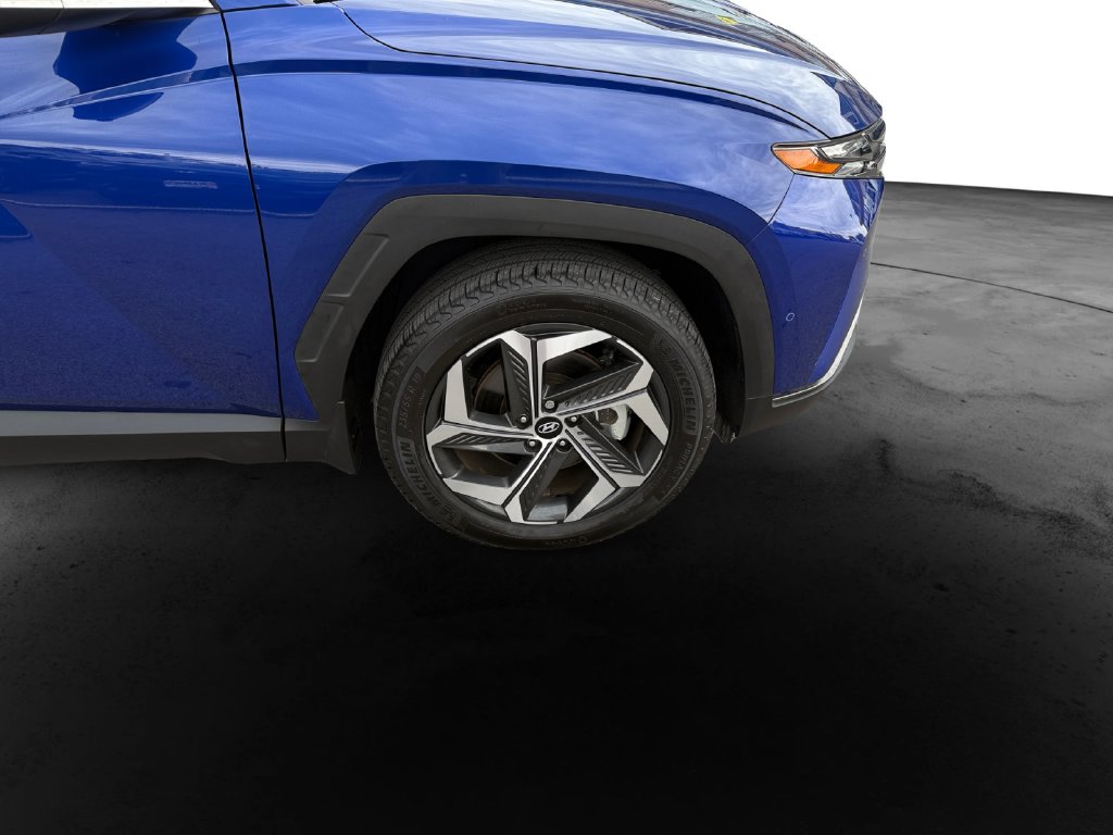 2024 Hyundai Tucson Limited - Photo 13