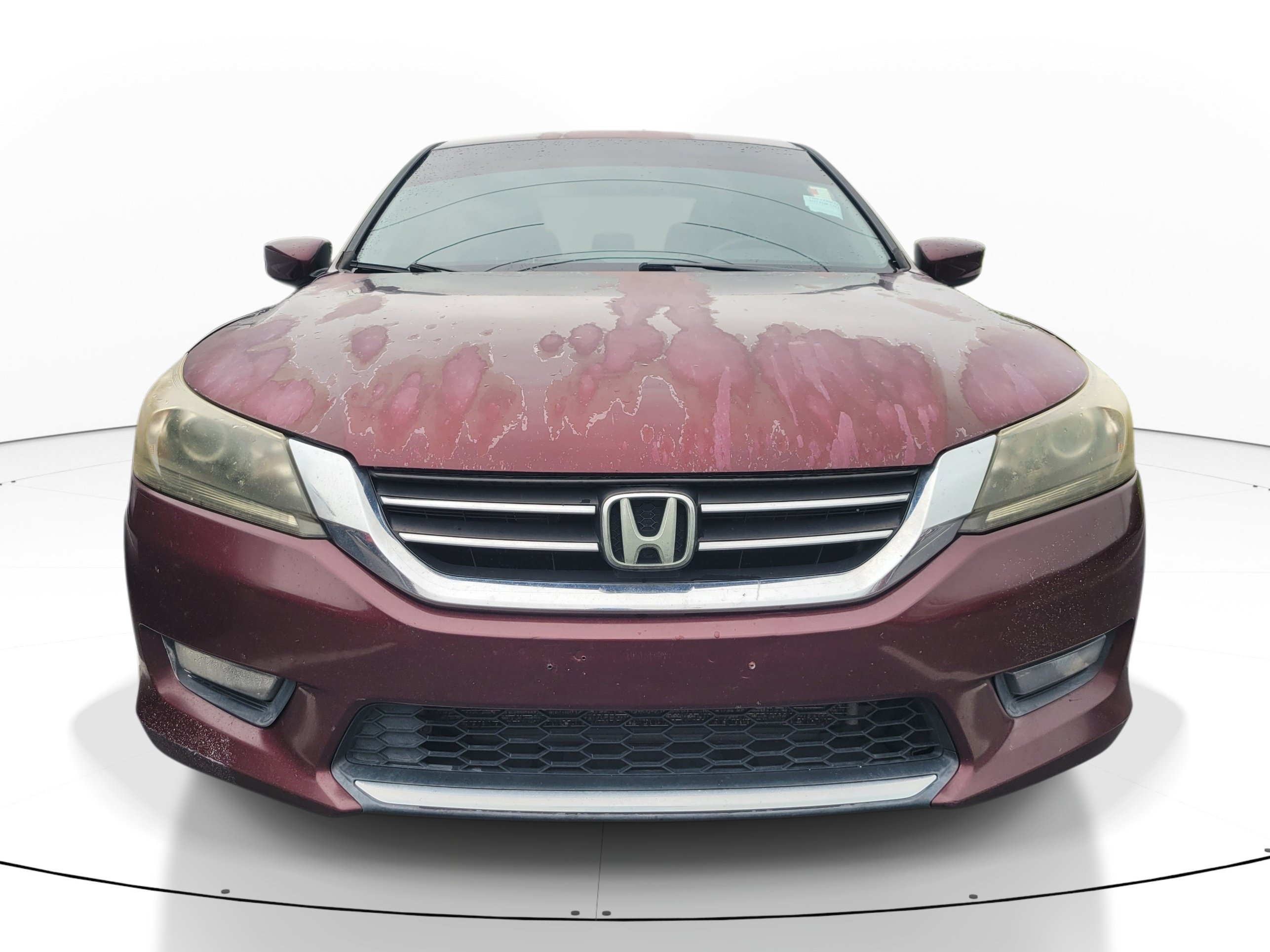Used 2014 Honda Accord Sport Sedan
