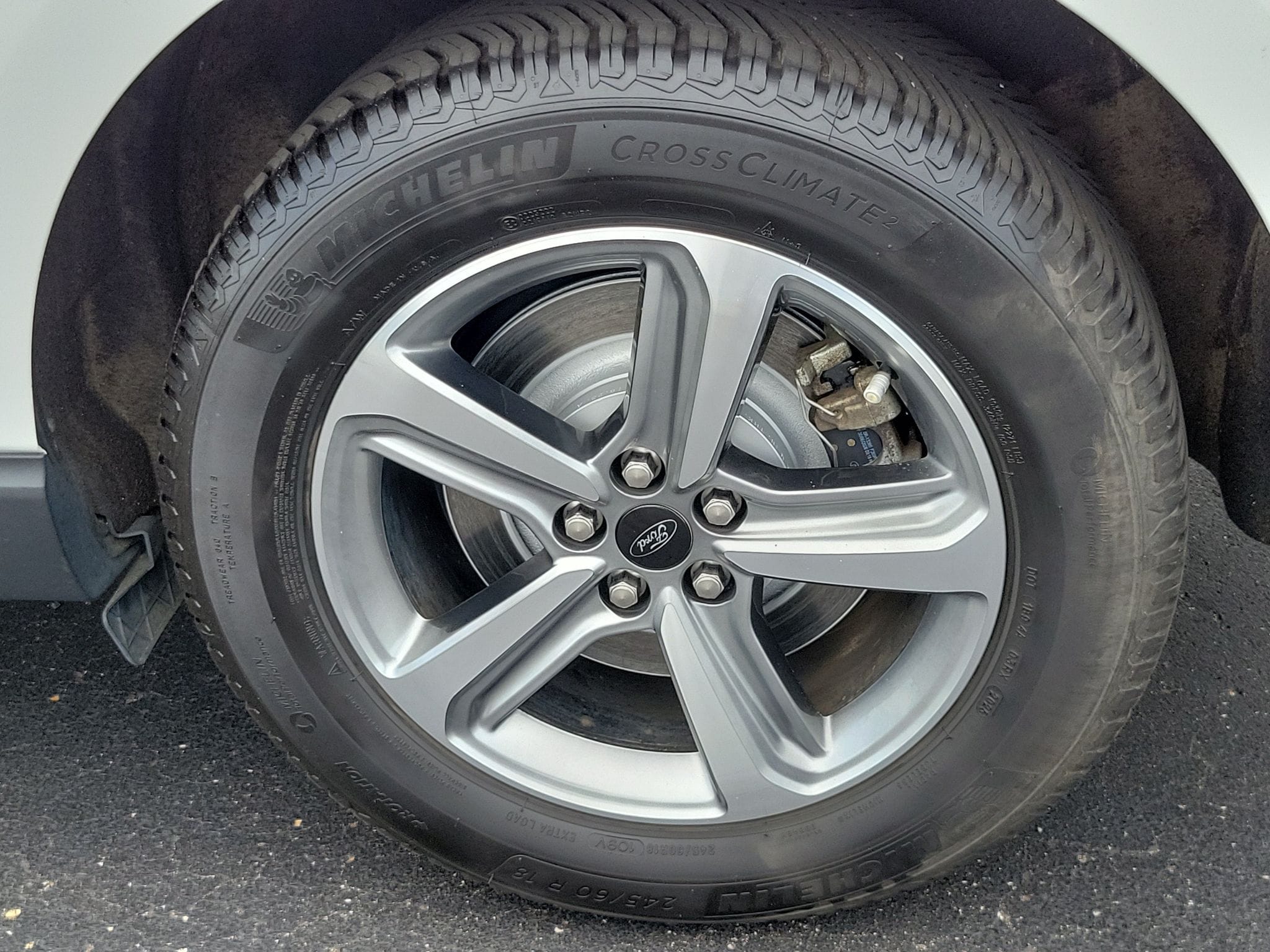 Photo 5