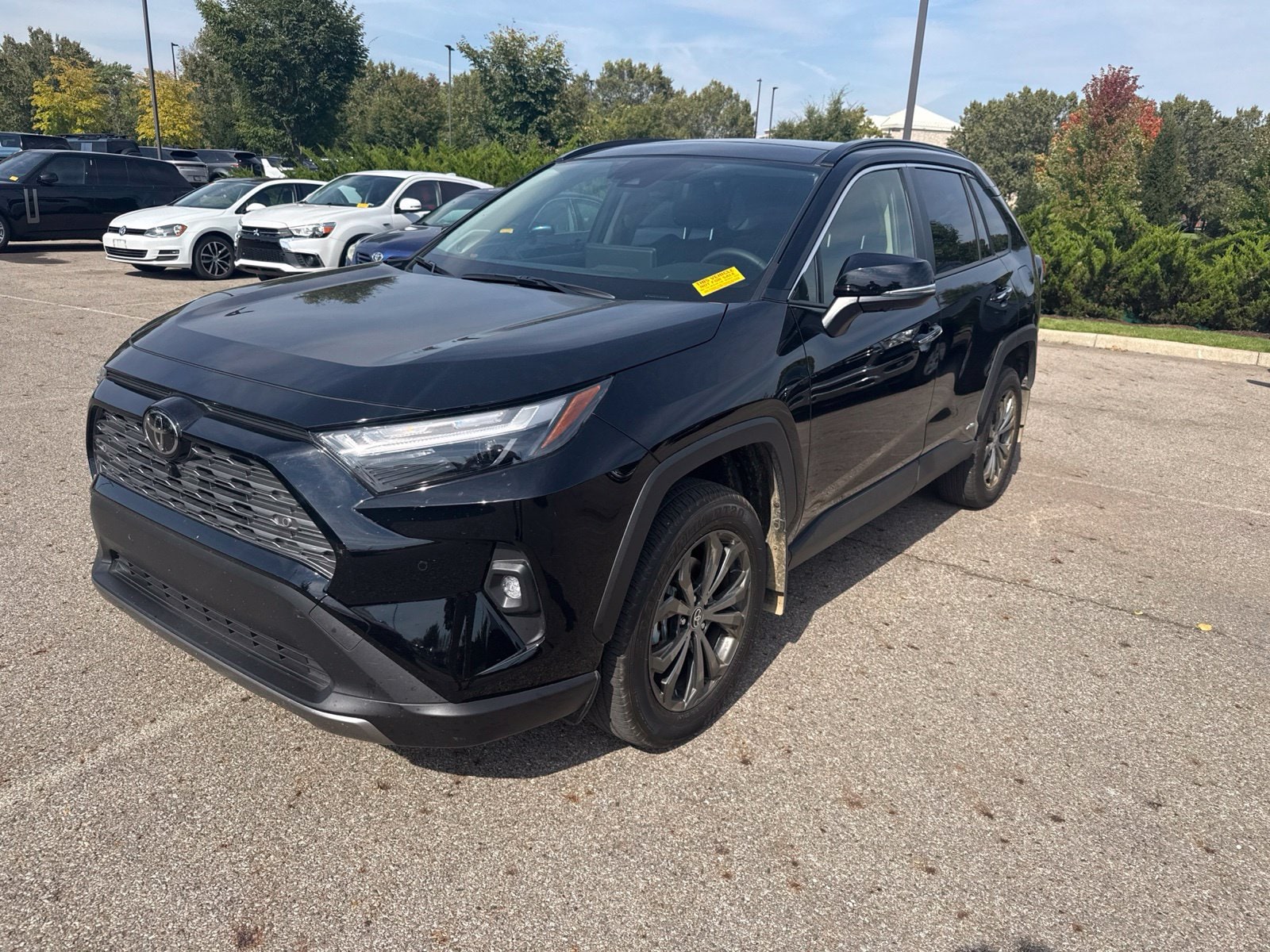 2025 Toyota RAV4
