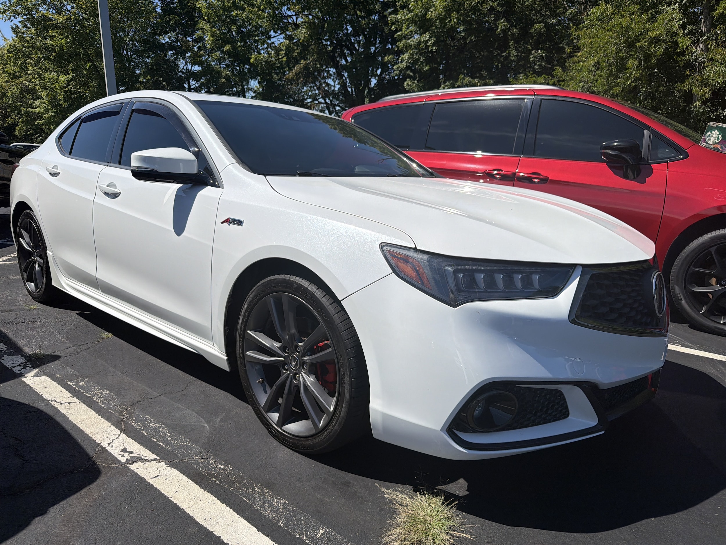 2019 Acura TLX