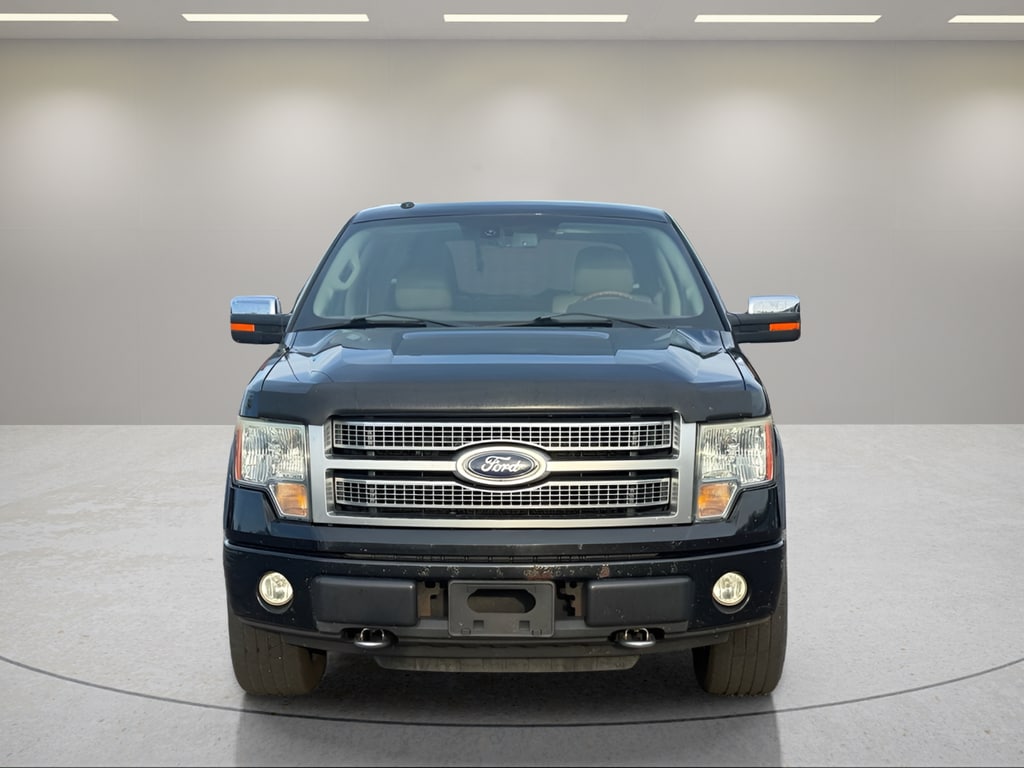 Used 2010 Ford F-150 Platinum with VIN 1FTFW1EV8AFB58717 for sale in La Porte, IN