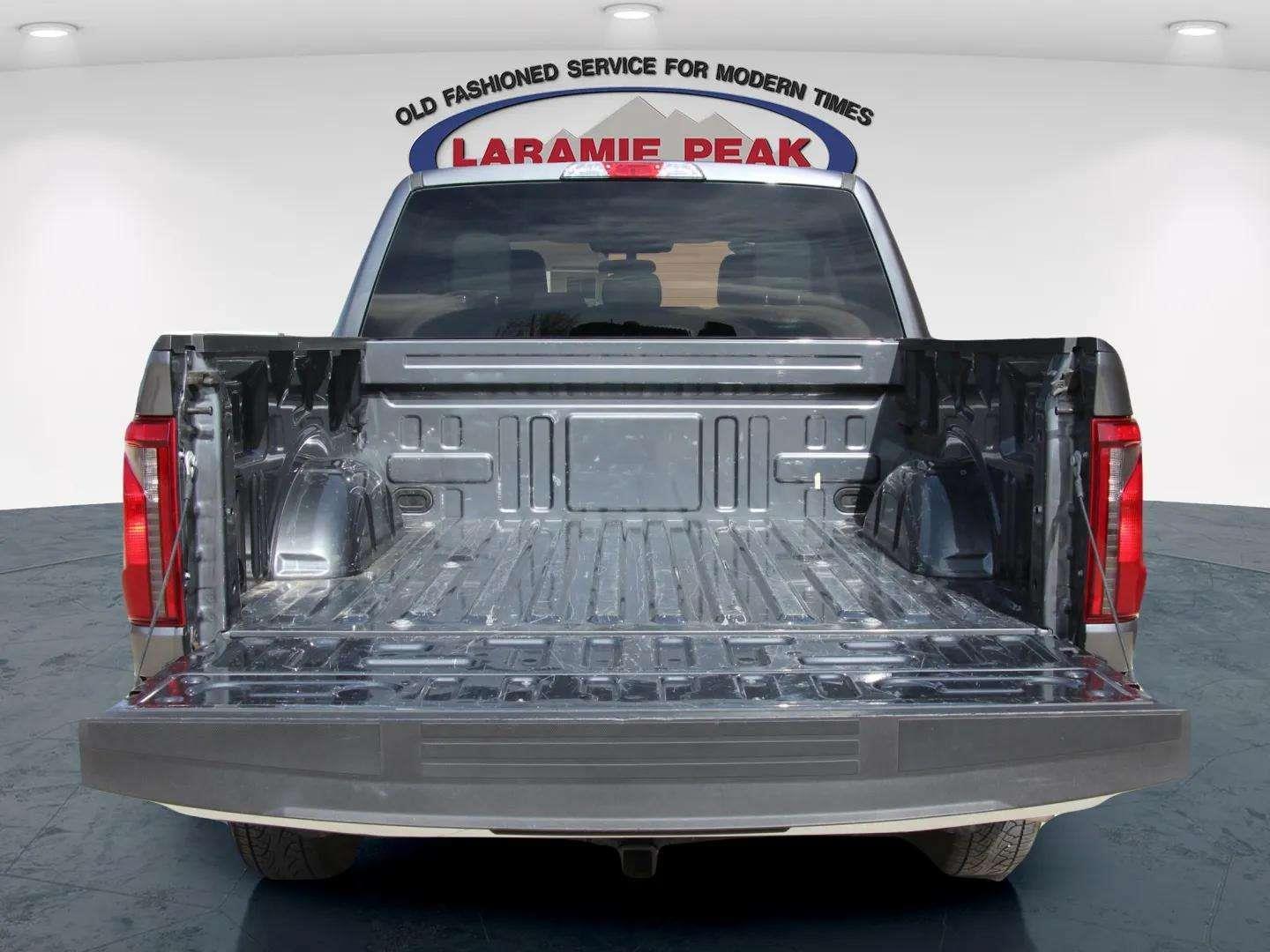2025 Ford F-150 XL - Photo 11