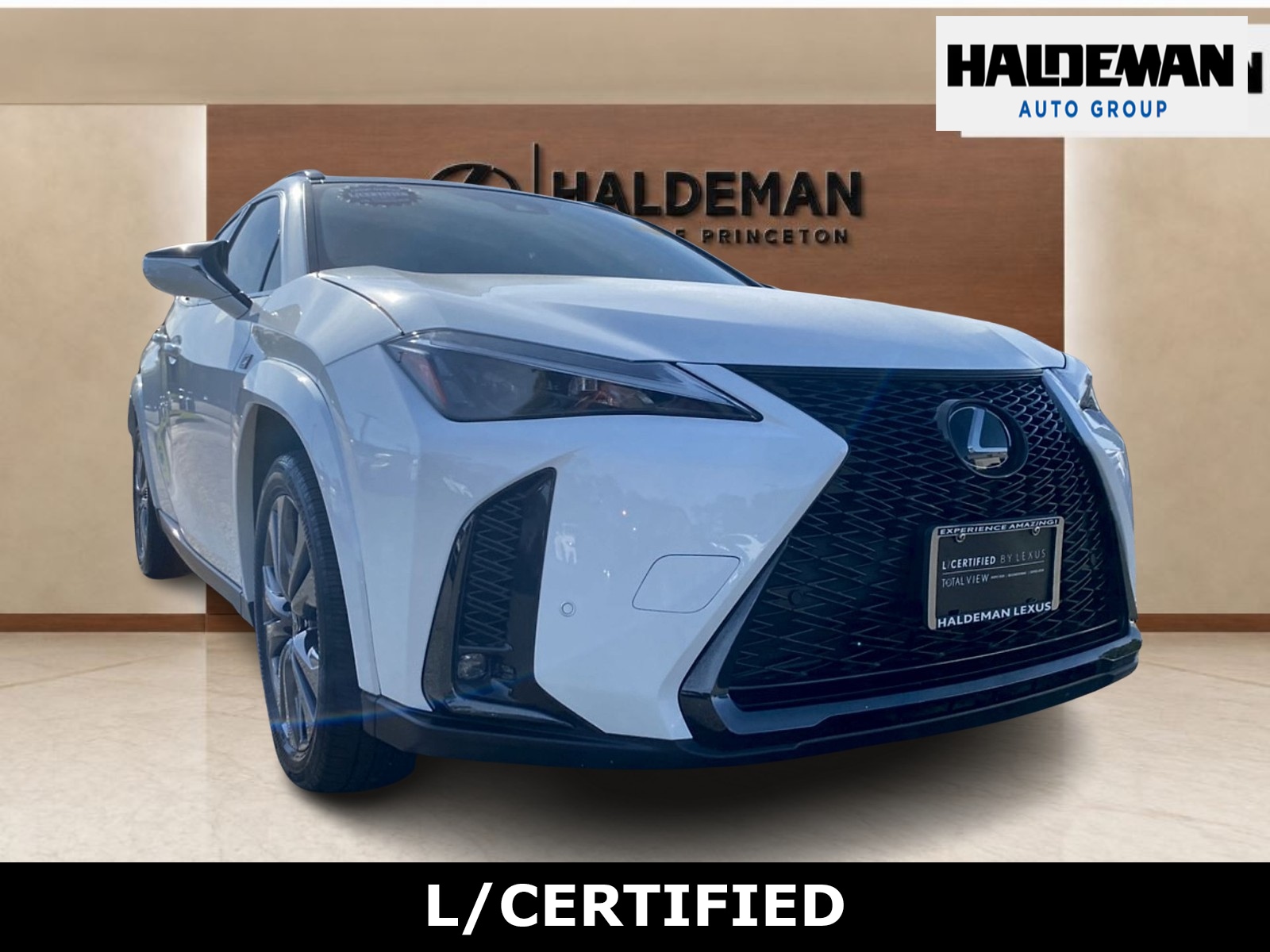 2023 Lexus UX Hybrid
