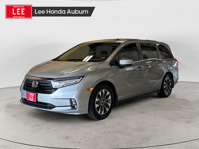 2024 Honda Odyssey