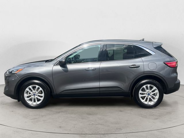 Used 2021 Ford Escape SE with VIN 1FMCU9G69MUA82157 for sale in Topsham, ME