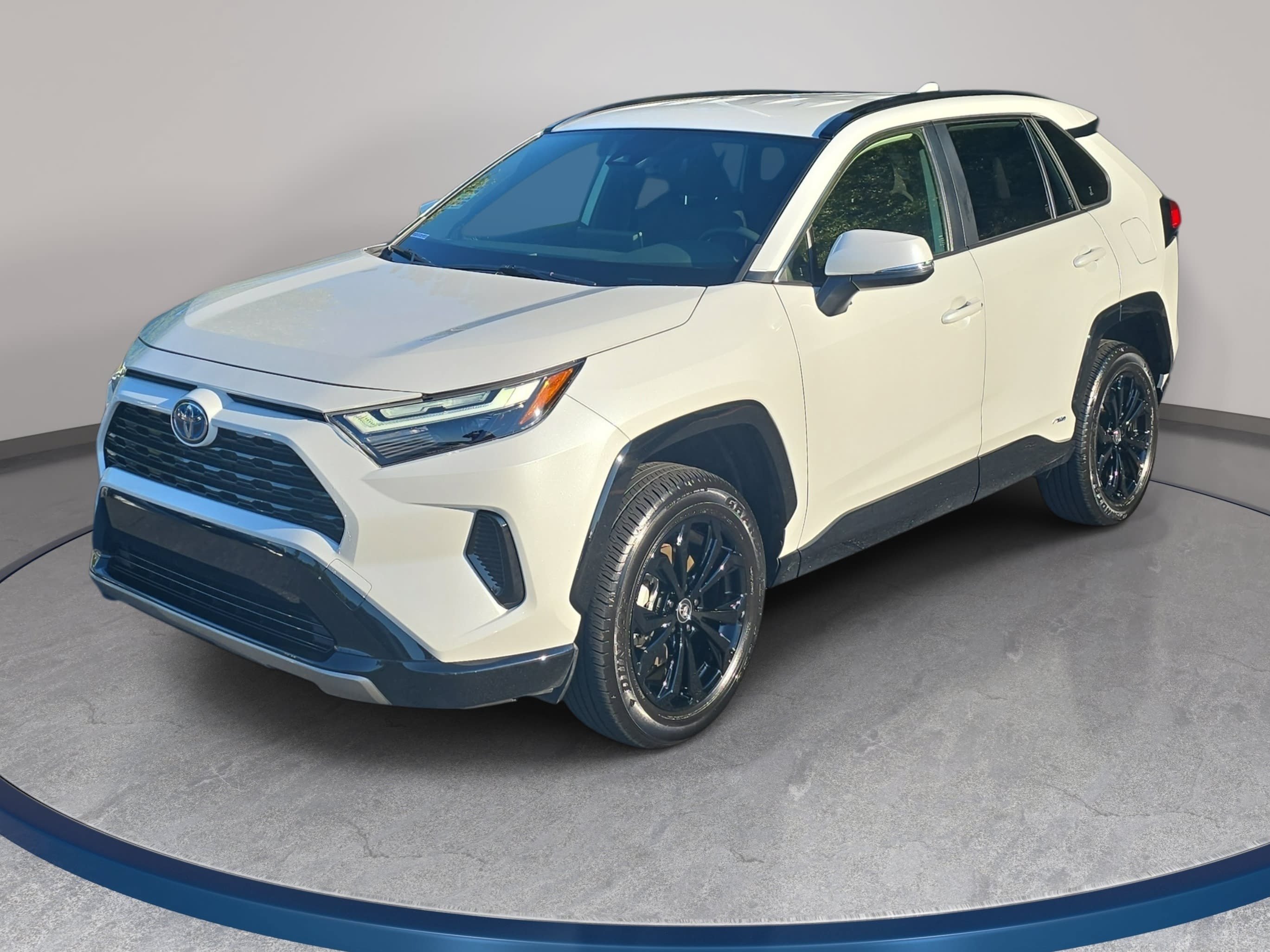  Toyota RAV4 Hybrid
