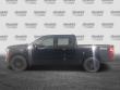 2025 Ford F-150 Platinum Pickup
