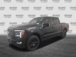 2025 Ford F-150 Platinum Pickup