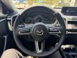 2025 Mazda CX-50 2.5 S Premium Package SUV