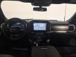 2025 Ford F-150 Platinum Pickup