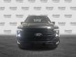 2025 Ford F-150 Platinum Pickup