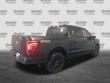 2025 Ford F-150 Platinum Pickup