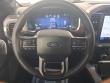 2025 Ford F-150 Platinum Pickup
