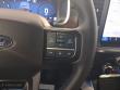 2025 Ford F-150 Platinum Pickup