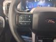 2025 Ford F-150 Platinum Pickup