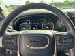 2020 GMC Sierra 1500 Denali 4WD Crew Cab 147 4WD Crew Cab 147