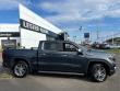 2020 GMC Sierra 1500 Denali 4WD Crew Cab 147 4WD Crew Cab 147