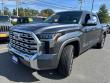 2024 Toyota Tundra 1794 Edition Truck CrewMax