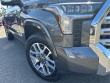 2024 Toyota Tundra 1794 Edition Truck CrewMax