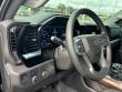 2025 Chevrolet Silverado 1500 LT Trail Boss Truck Crew Cab