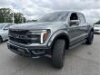 2025 Ford F-150 Raptor Truck SuperCrew Cab