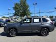2026 Subaru Forester Wilderness SUV