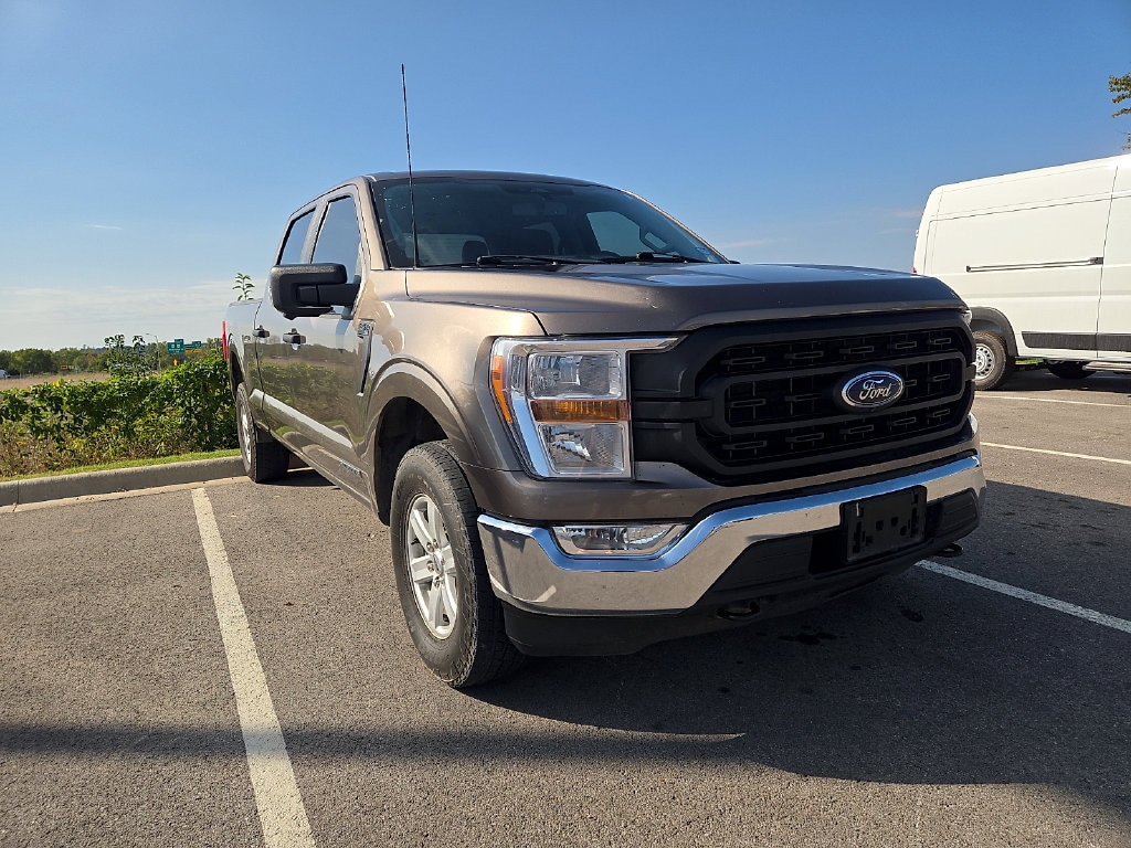 Used 2022 Ford F-150 XL Truck