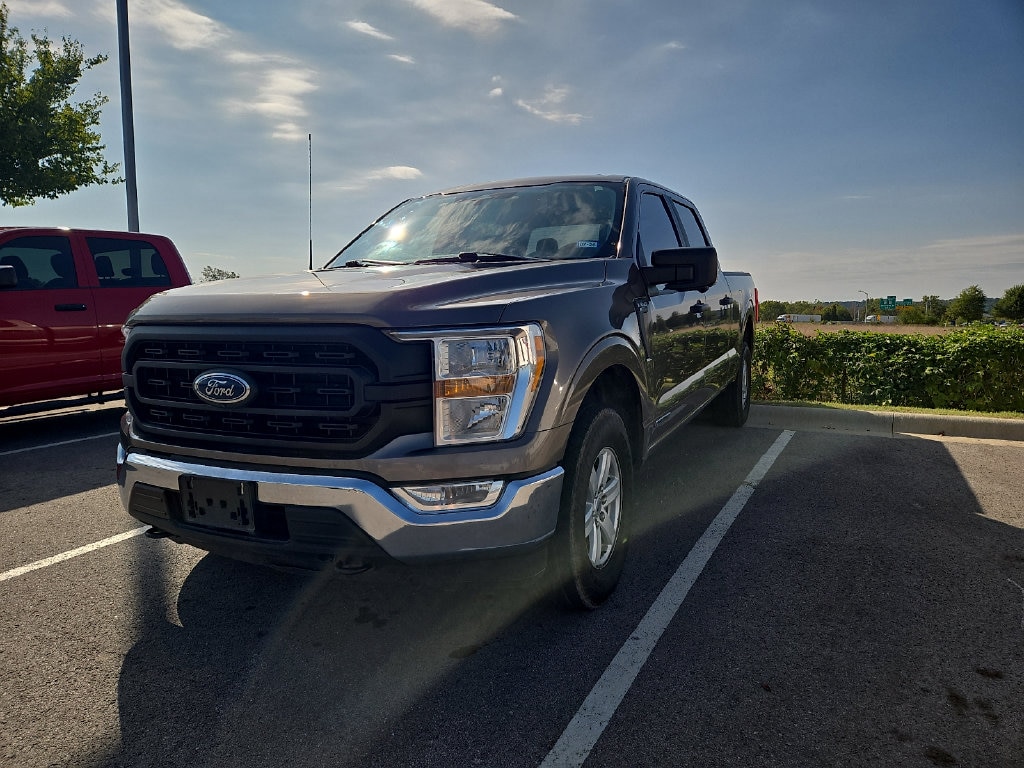 Used 2022 Ford F-150 XL Truck