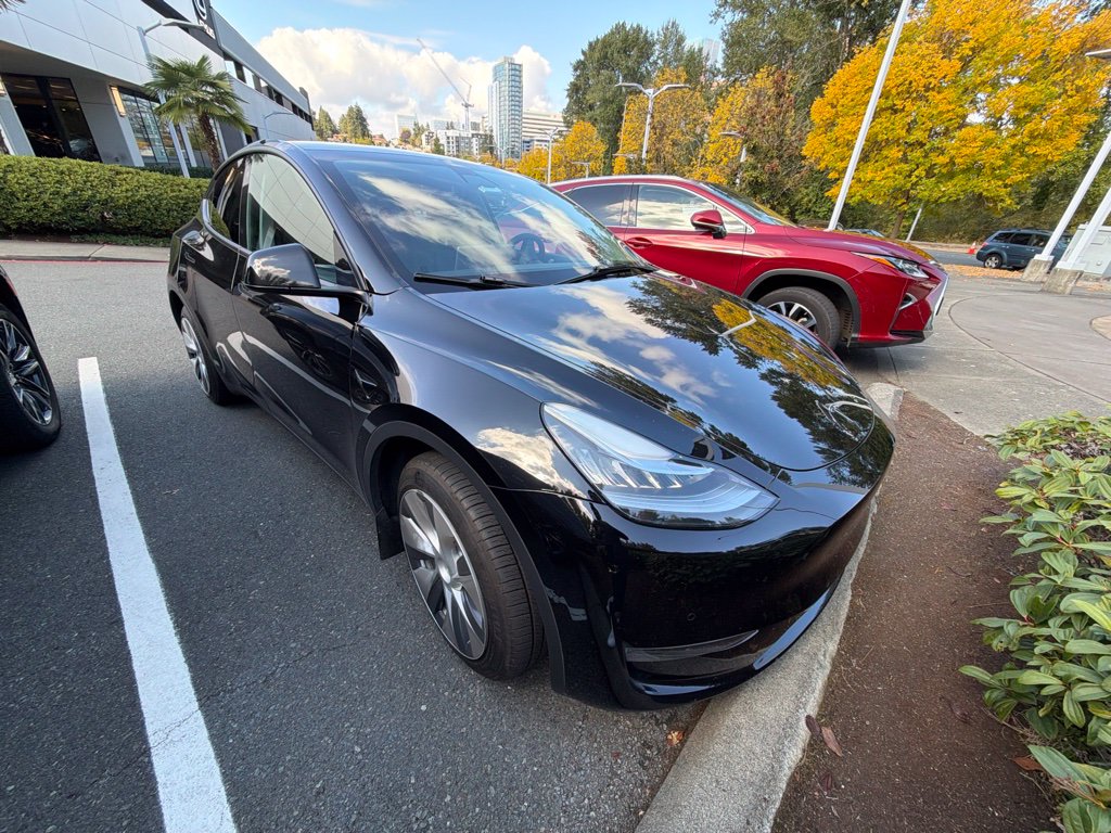 Used 2022 Tesla Model Y