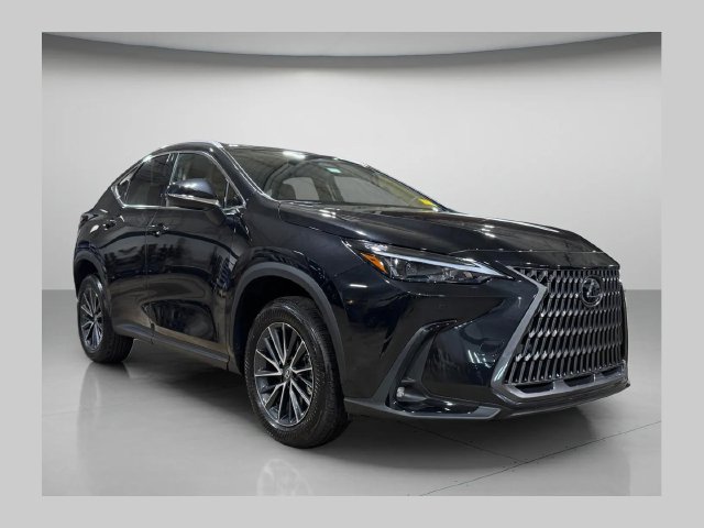 2024 Lexus NX