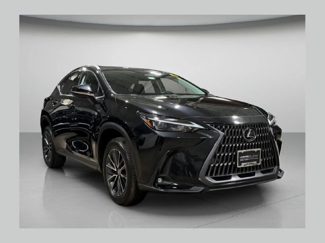 2024 Lexus NX