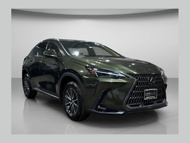 2024 Lexus NX Hybrid