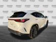 2024 LEXUS NX 350 Premium SUV